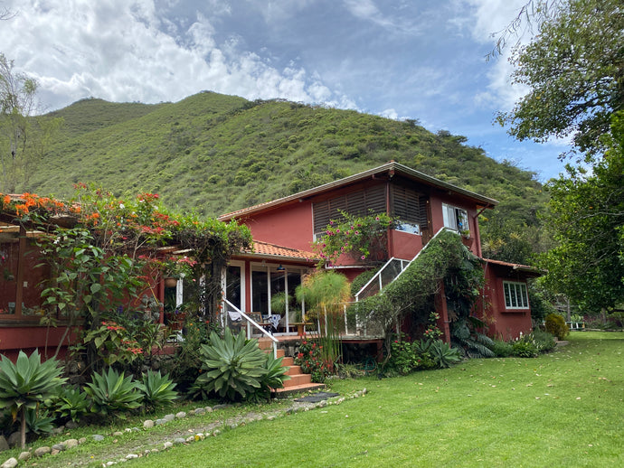 Cacao Immersion Retreat: Ecuador July 29-August 6, 2023
